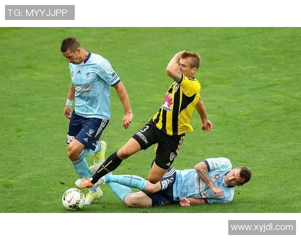 2017年西悉尼对阵惠灵顿精彩赛事回顾与分析 2017年西悉尼对阵惠灵顿精彩赛事回顾与分析