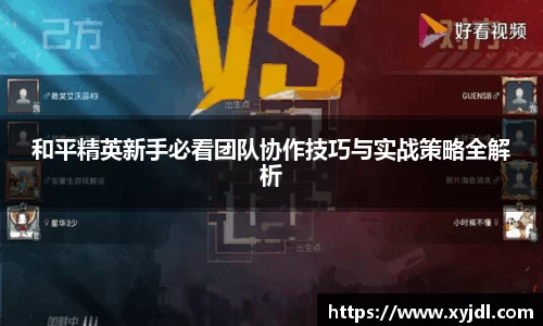和平精英新手必看团队协作技巧与实战策略全解析