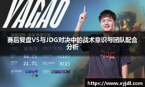 赛后复盘V5与JDG对决中的战术意识与团队配合分析
