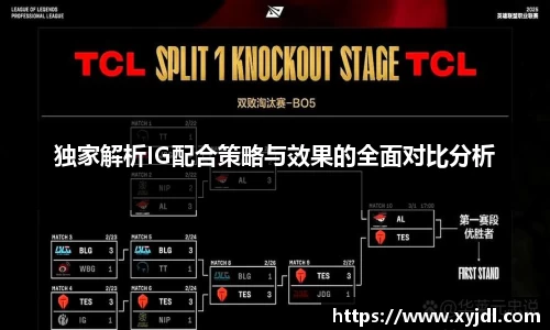 独家解析IG配合策略与效果的全面对比分析