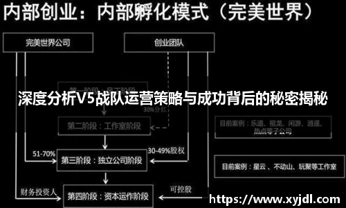 深度分析V5战队运营策略与成功背后的秘密揭秘