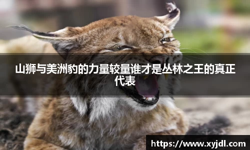 山狮与美洲豹的力量较量谁才是丛林之王的真正代表
