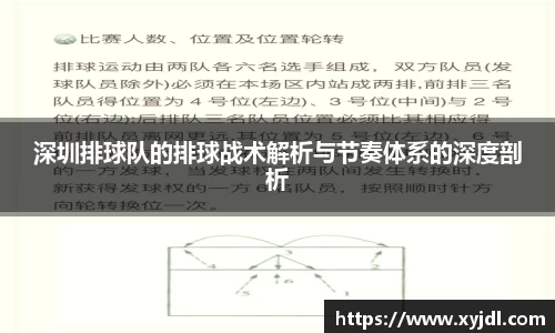 深圳排球队的排球战术解析与节奏体系的深度剖析