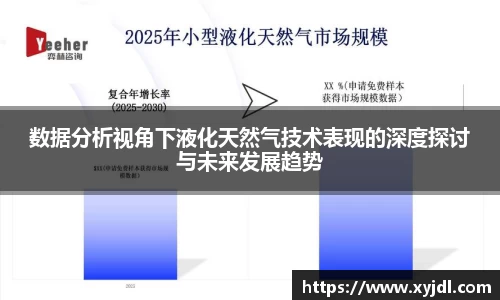 数据分析视角下液化天然气技术表现的深度探讨与未来发展趋势