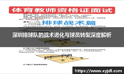 深圳排球队的战术进化与球员转型深度解析